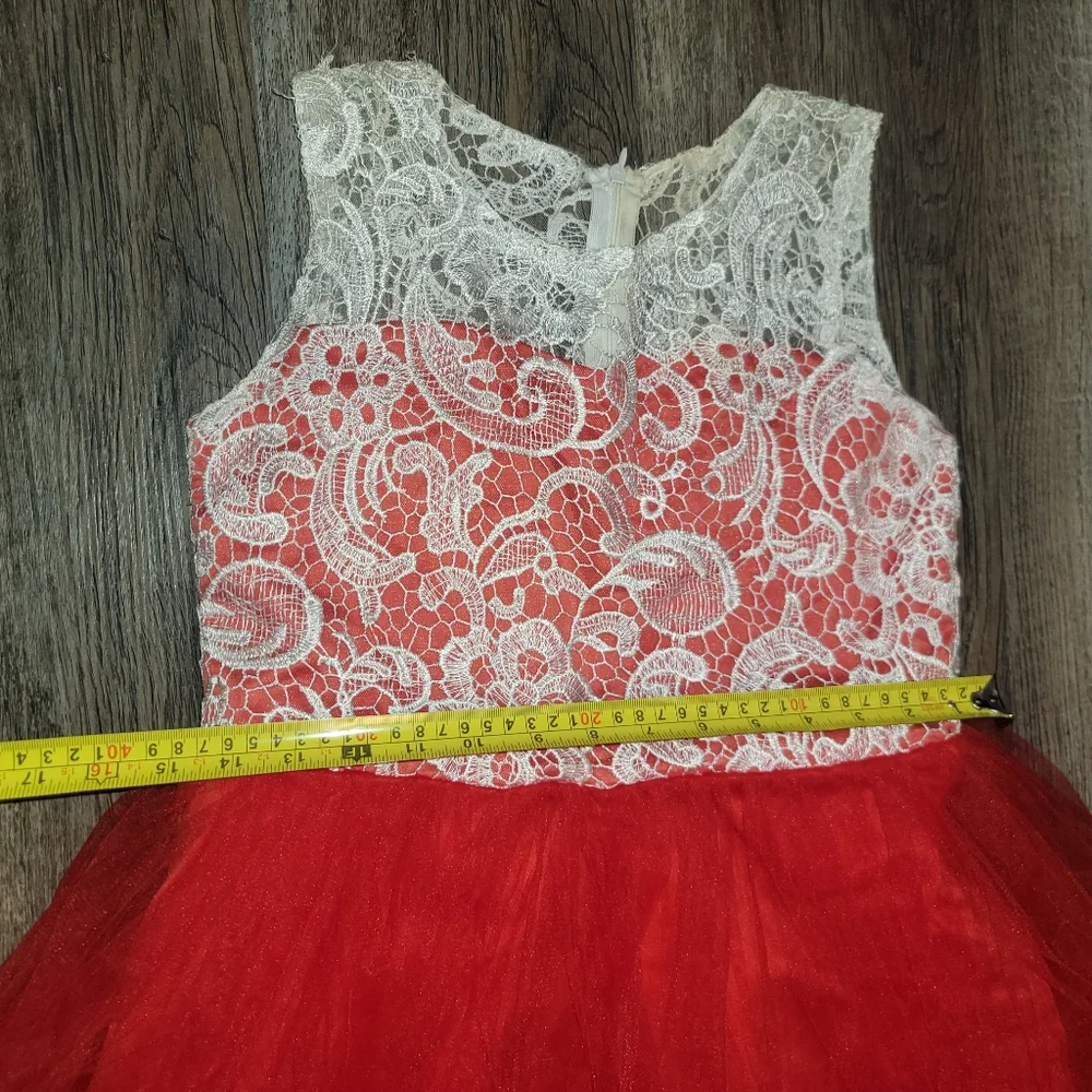 Girls‎ Embroidery Flower Lace Puffy Sleeveless Red Dress Tulle  Size 14/16